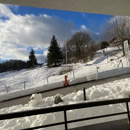 Utulny Triangel 50m Od Lyziarskeho Vleku Zahradky *