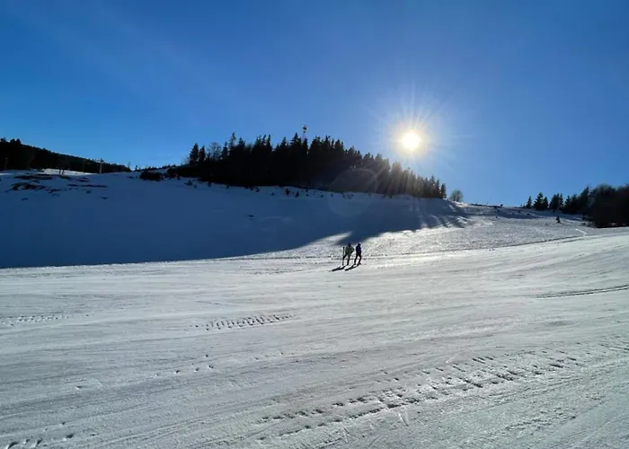 Utulny Triangel 50m Od Lyziarskeho Vleku Zahradky Dóval