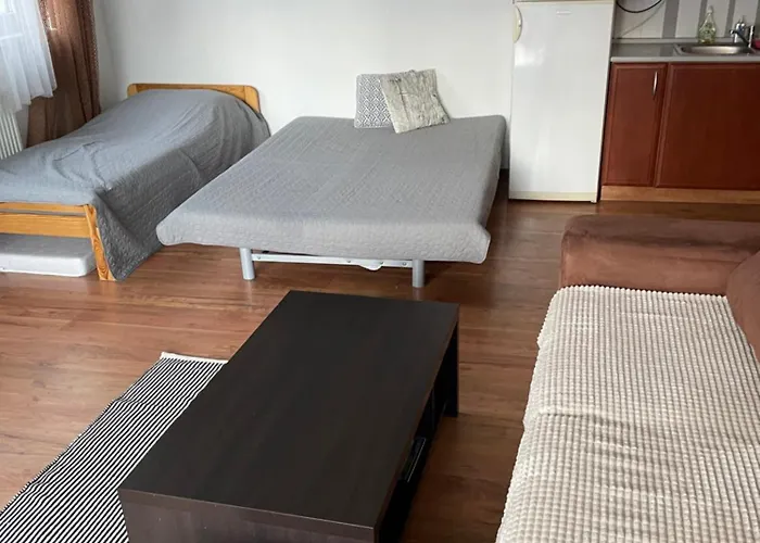 Utulny Triangel 50m Od Lyziarskeho Vleku Zahradky Apartman *
