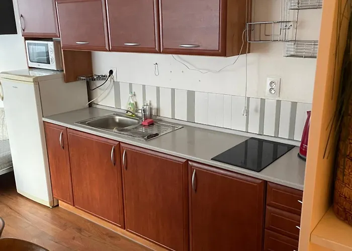 Utulny Triangel 50m Od Lyziarskeho Vleku Zahradky Apartman